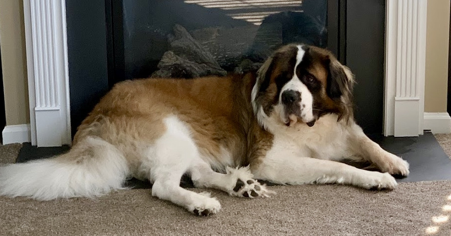 Saint laying down